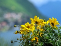 Varenna
